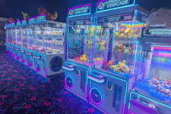 PXL_20241110_051132910