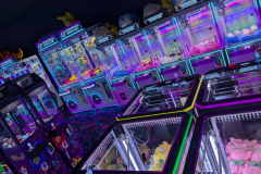 PXL_20241110_051512741