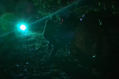 fun-outdoor-activites